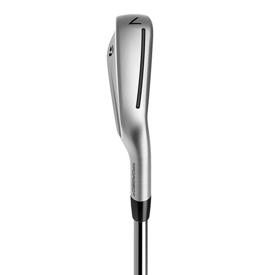 Taylormade P790 Iron Set